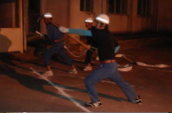 �����񍐎ʐ^