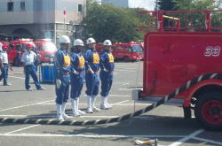 �����񍐎ʐ^